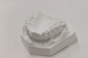 【歯科衛生学科_1年】平行模型の作成を行いました♪ | 河原医療大学校